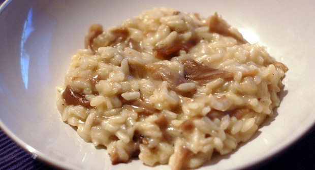 Risotto des touts petits